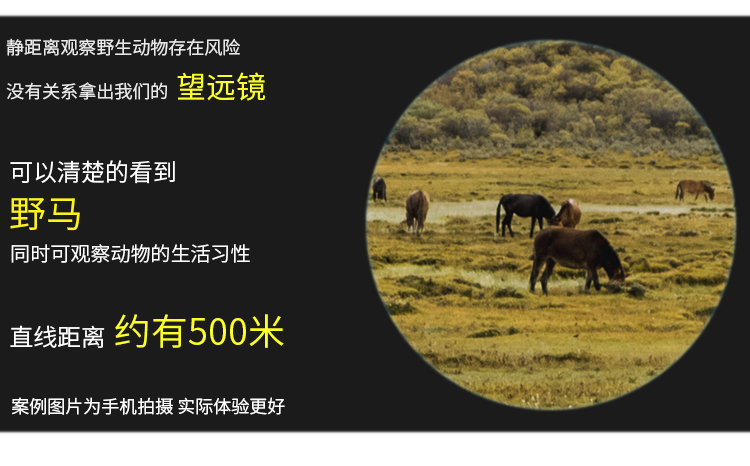 ia_600000051.jpg